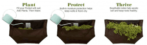 How to use Wooly Pocket Herbs